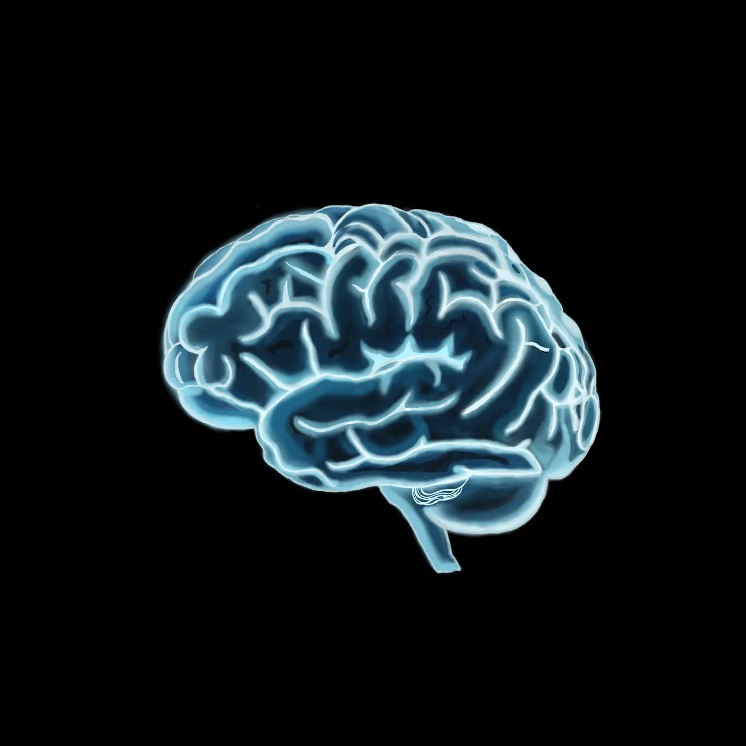 An image of a brain to represent creative web design in Halifax