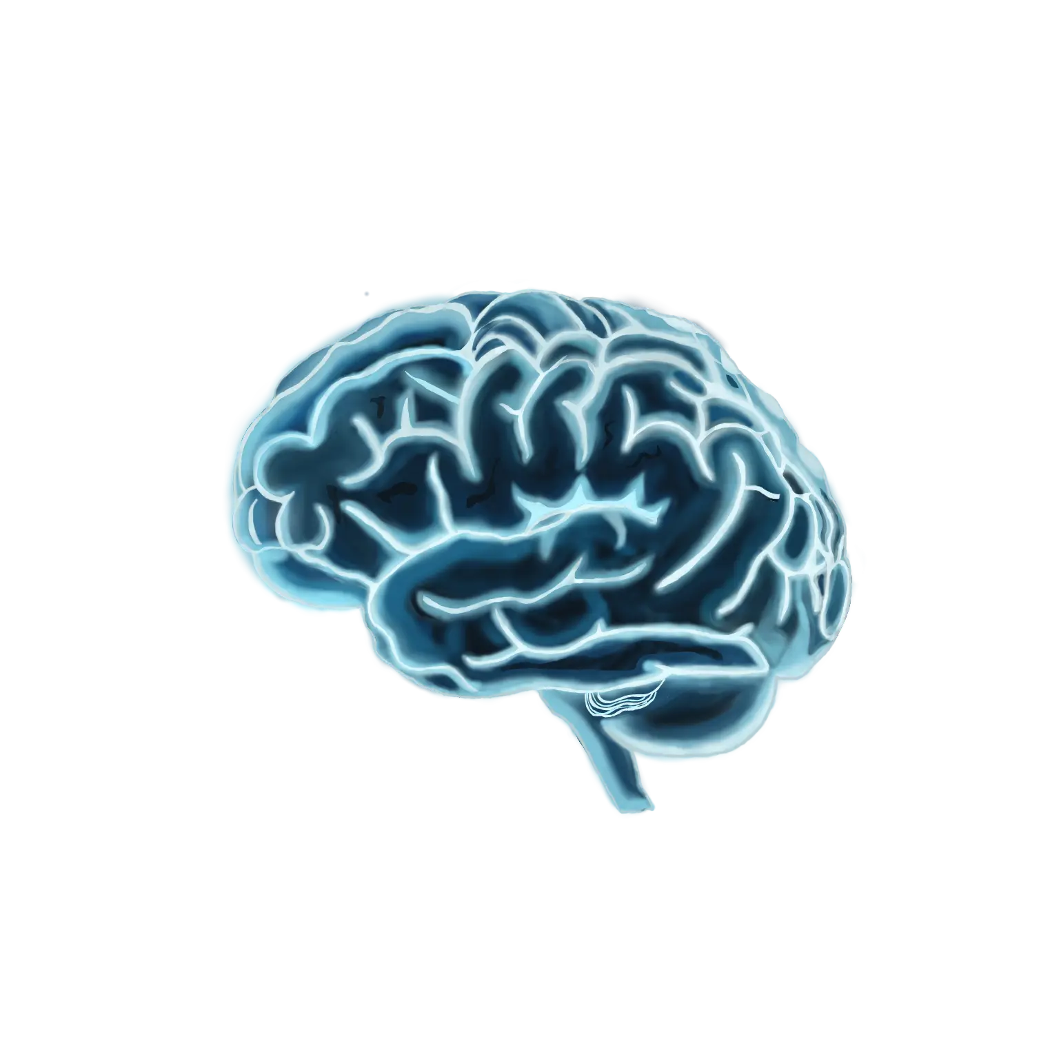/focus flow brain